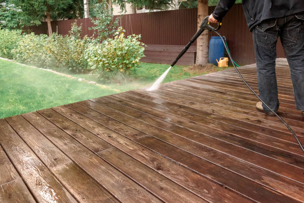Best Boat and Dock Cleaning  in North Weeki Wachee, FL